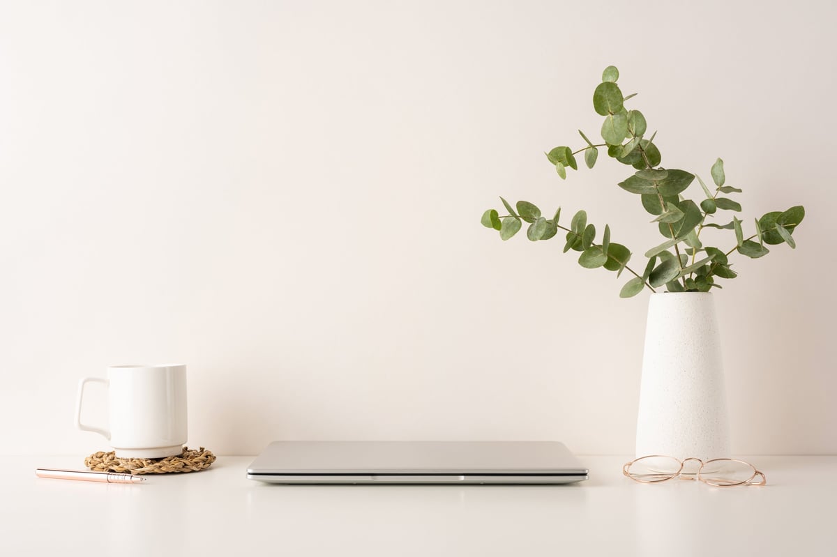 Clean budget laptop workspace setup