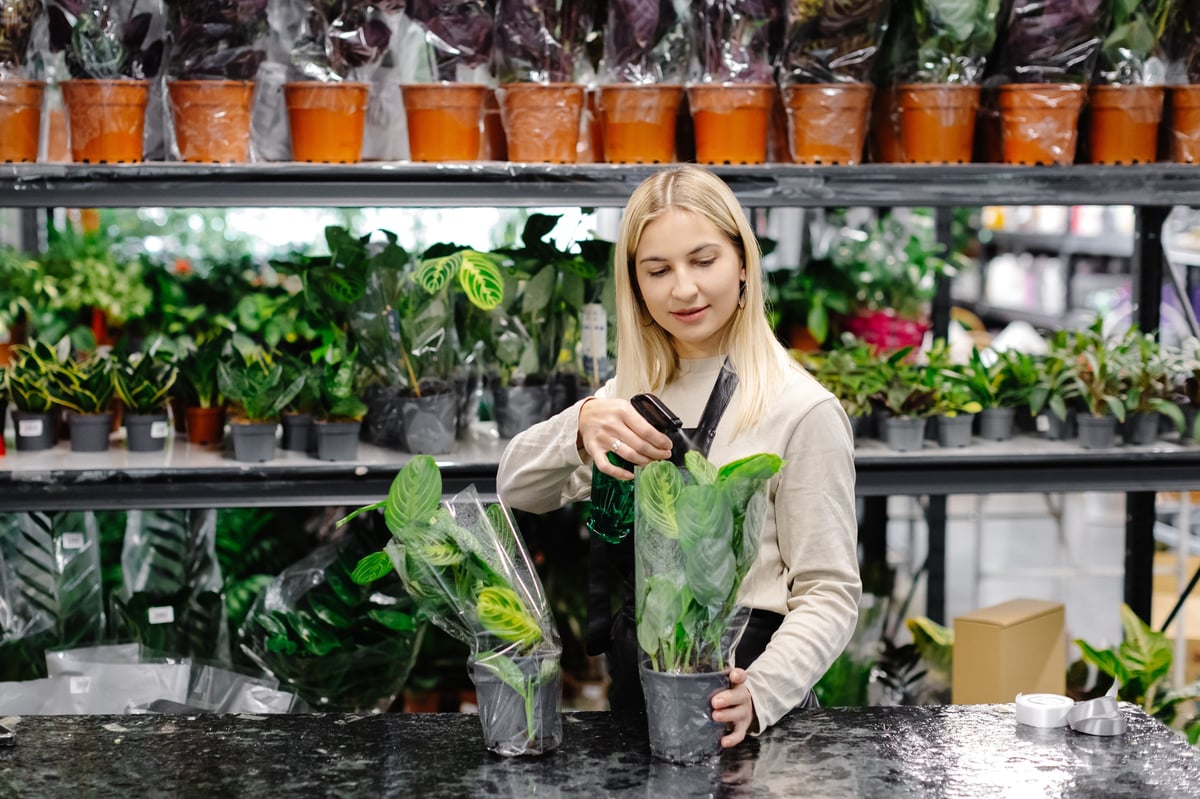 Florist taking care of potted plants in shop
